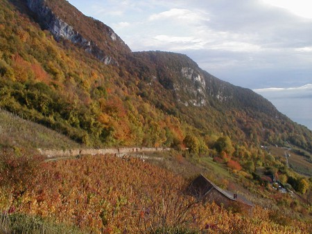 Automne à la Chambotte