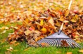 /album/galerie-de-photos-page-daccueil/eq-eau-ramassage-de-feuilles-1-jpg/